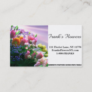 Les cartes de visite, 3,5" x 2,0", 100 emballent,