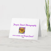 Les cartes de voeux de la Maison Blanche (Dos)