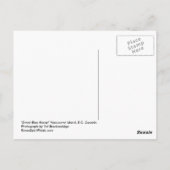 Les cartes postales "The Big Scratch" (Dos)