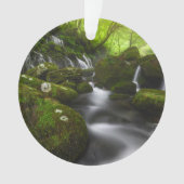 Les cascades | Cascades de Satoyama Kisakata (devant)