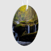 Les cascades | Parc national de Great Smoky Mounta (devant)