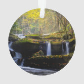 Les cascades | Parc national de Great Smoky Mounta (dos)