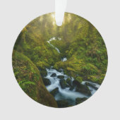 Les cascades | Parc National Olympique, Washington (devant)