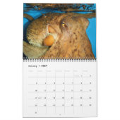 Les céphalopodes sont Cool Calendrier (Jan 2027)