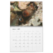 Les céphalopodes sont Cool Calendrier (Mar 2027)