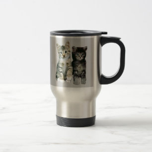 Les chatons autour ici des chats sont tasse
