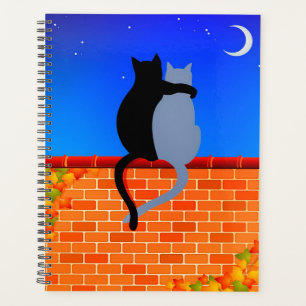 Les chatons en amour