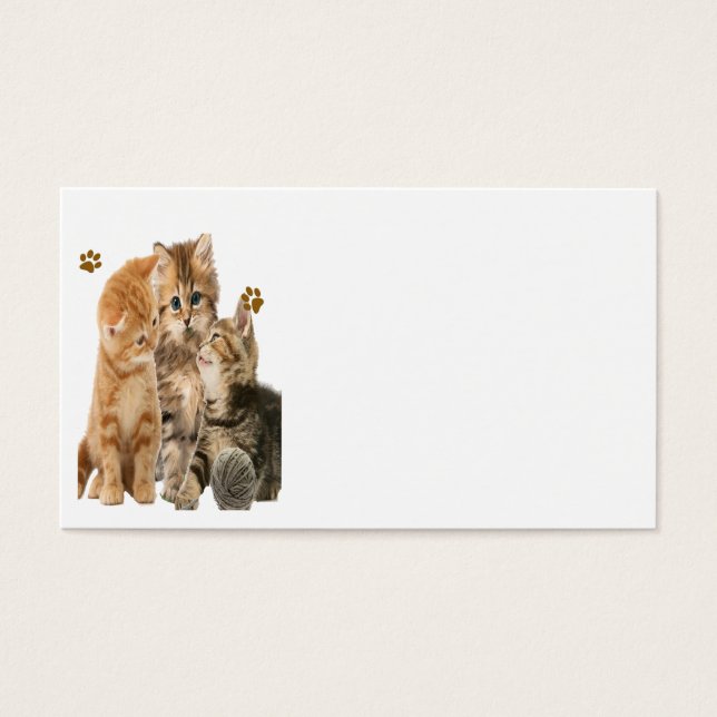 Les chatons en jeu (Devant)