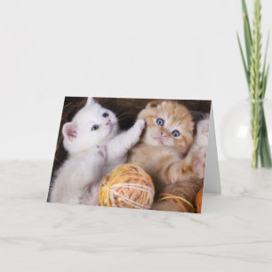 Les chatons mignons manquent votre carte