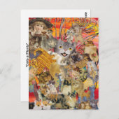 Les chats, cartes postales Plenty (Devant / Derrière)