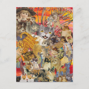 Les chats, cartes postales Plenty