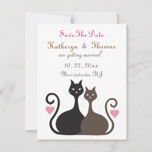 Les chats d'amour sauvent la carte plate de