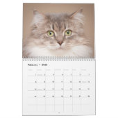 Les Chats de Chats Cradle Shelter 2014 Calendrier (Feb 2026)