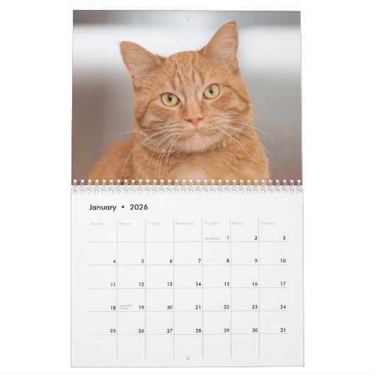Les Chats de Chats Cradle Shelter 2014 Calendrier (Jan 2026)