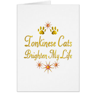 Les chats de Tonkinese éclairent ma vie
