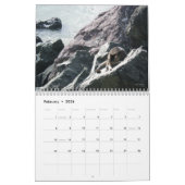 Les chats de vieux San Juan, calendrier 2016 (Feb 2026)