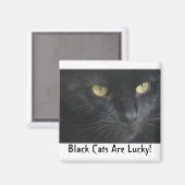 Les Chats Noirs Ont De La Chance ! Magnet (Recto/Verso)