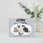 Les chats ont déplacé carte postale (Debout devant)