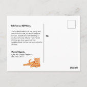 Les chats ont déplacé carte postale (Dos)