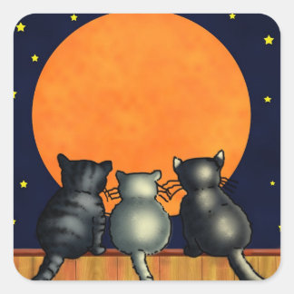 Les chats regardent les stickers de la lune