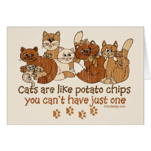 Les chats sont comme des pommes chips