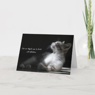 Les chats sont des anges viennent sur Terre, carte