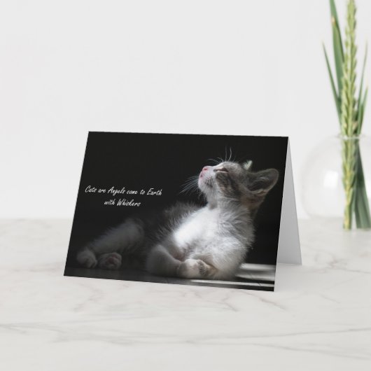 Les chats sont des anges viennent sur Terre, carte (Devant)