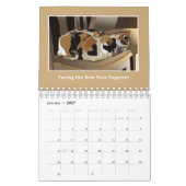 Les chats sont des chats - Calendrier - L'amour ga (Jan 2027)