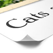 Les Chats Sont Des Gens Trop Poster ! (Coin)