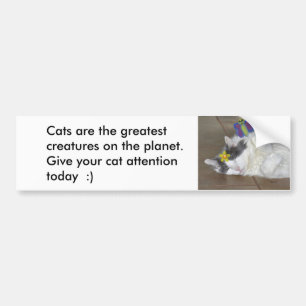 Les chats sont le plus grand Sticker de pare-chocs