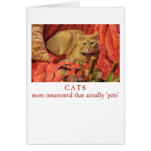 Les chats sont ornementaux