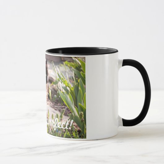 LES CHATS SONT TASSE DE CAFÉ DE PURFFECT (Droite)