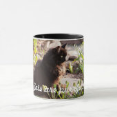 LES CHATS SONT TASSE DE CAFÉ DE PURFFECT (Centre)