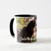 LES CHATS SONT TASSE DE CAFÉ DE PURFFECT (Devant gauche)