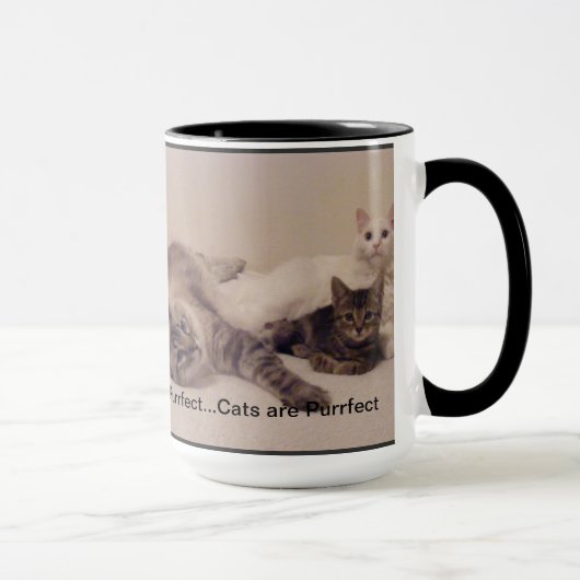 les chats sont tasse de purrfect (Droite)