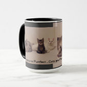 les chats sont tasse de purrfect (Devant gauche)