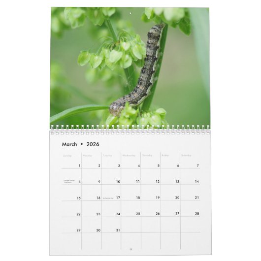 Les chenilles ! Calendrier (Mar 2026)