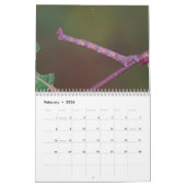 Les chenilles ! Calendrier (Feb 2026)