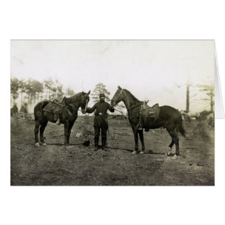 Les chevaux du Colonel Sharpe