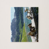 Les chèvres tremblent dans le puzzle du soleil (Vertical)