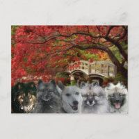 Les chiens de la carte postale d'auberge