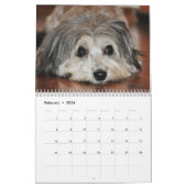 Les chiens de tous assaisonne le calendrier 2015 (Feb 2026)