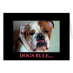 Les chiens gouvernent.