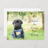 Les chiots sur carte postale sont le meilleur remè (Devant / Derrière)