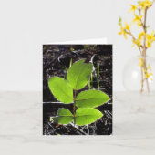 Les choses seront un carte pour notes plus (Fleur jaune)