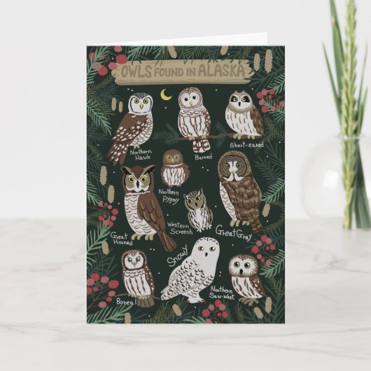 Les Chouettes trouvées dans la Carte de voeux Alas (Devant)