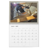 Les Chroniques de Todd & Friends Calendrier 2026 (Mar 2027)