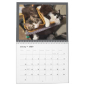Les Chroniques de Todd & Friends Calendrier 2026 (Jan 2027)