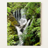 LES CHUTES D'EAU (Dos)