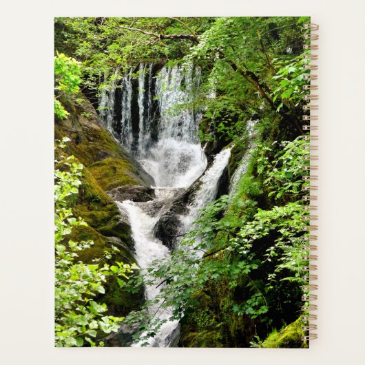 LES CHUTES D'EAU (Dos)